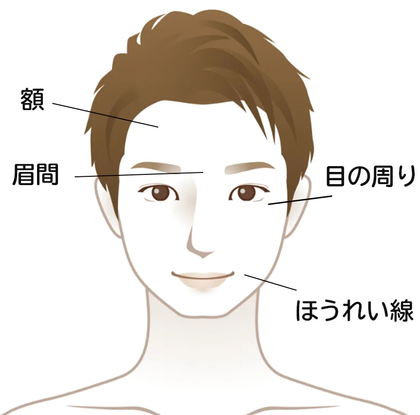 男性のしわが発生しやすい場所（顔）